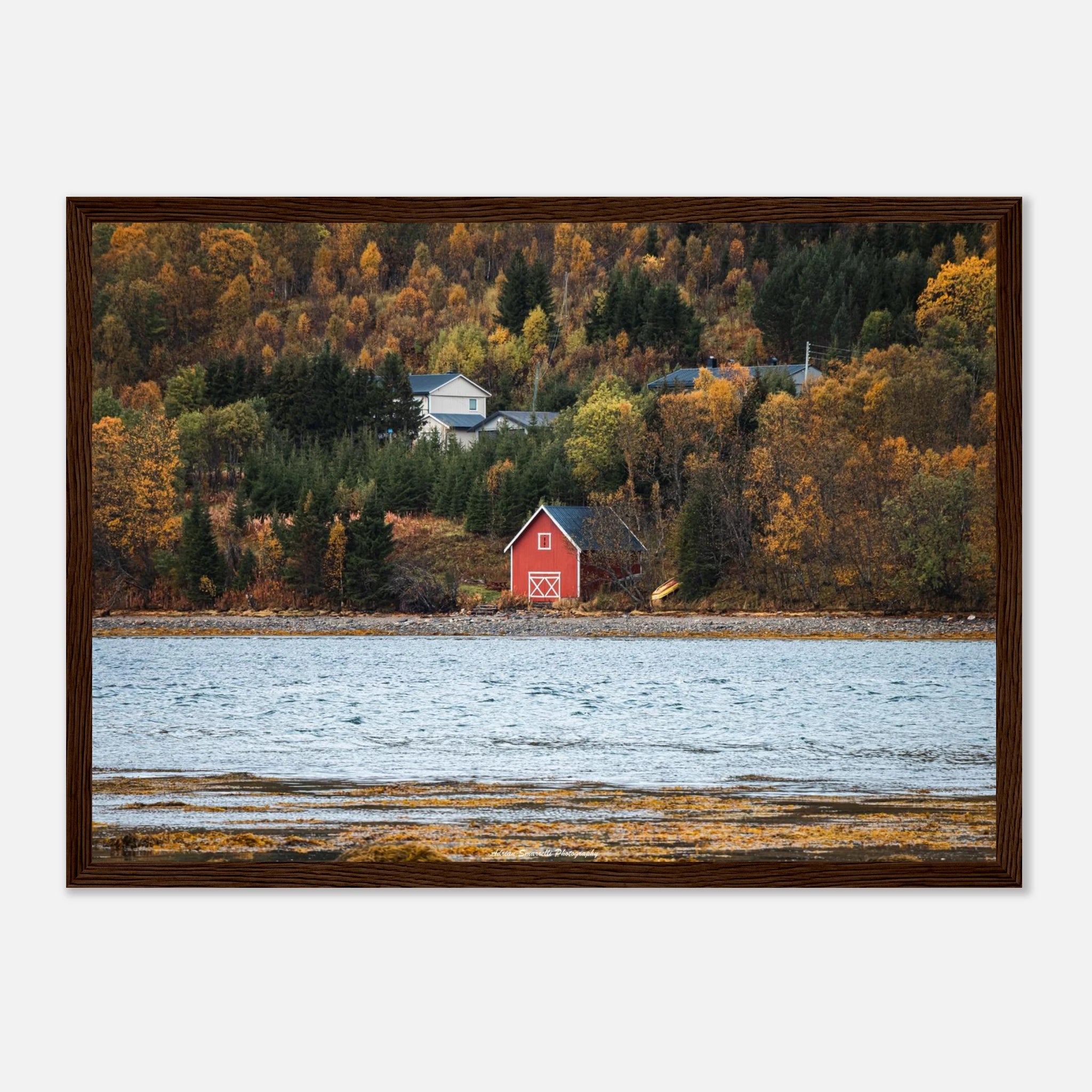 f69d19fd-50c2-4114-afd1-14c0636333fd