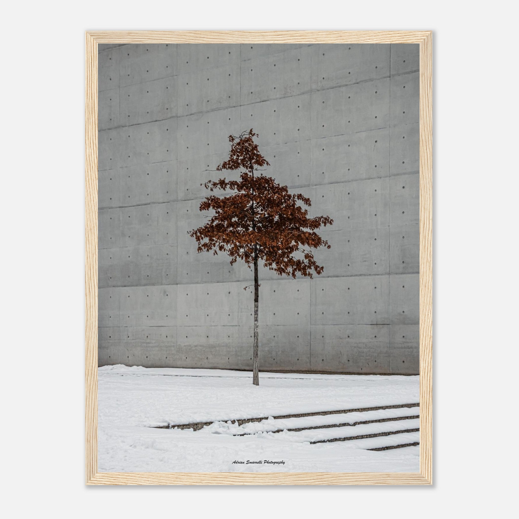 f6f8b088-92f6-4a01-a8a2-2d2ae7fad633