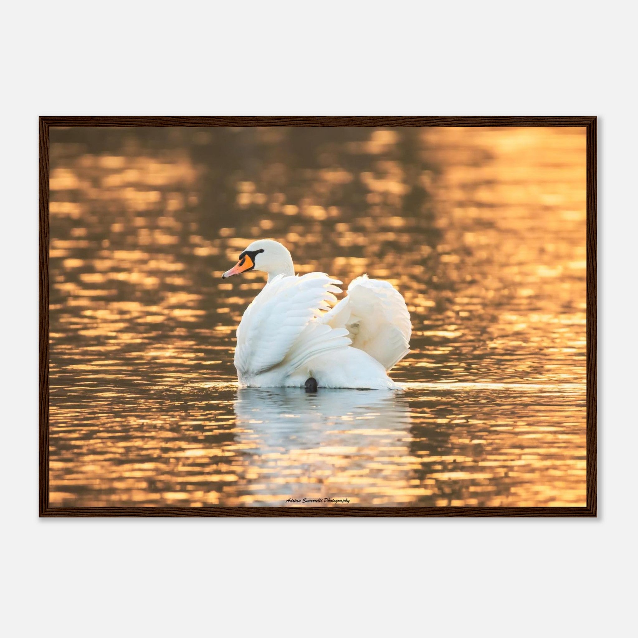 fa87409f-426b-41ce-9827-11c08f3e593f