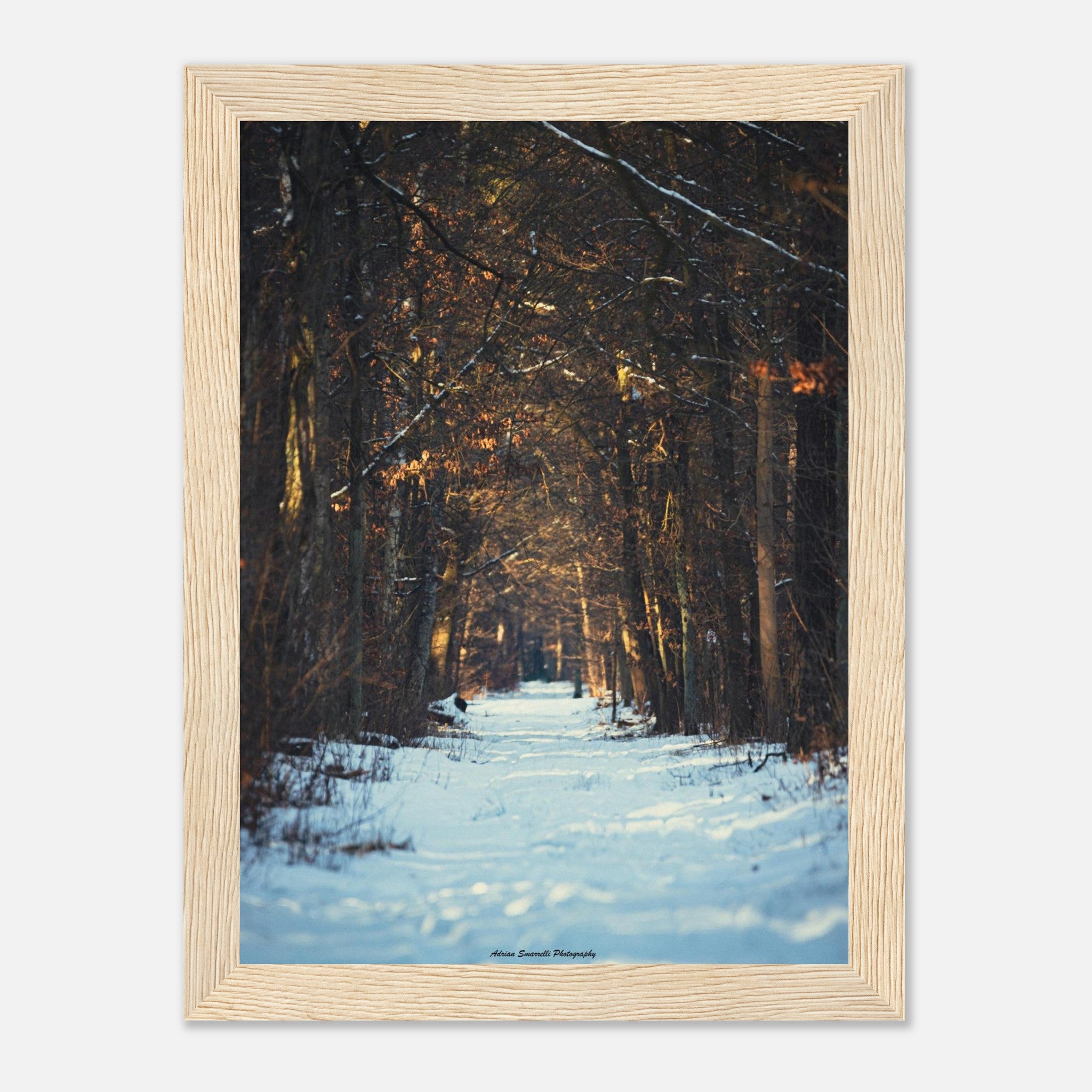 faf6b045-5f46-4951-a9d9-cd82cb567d67