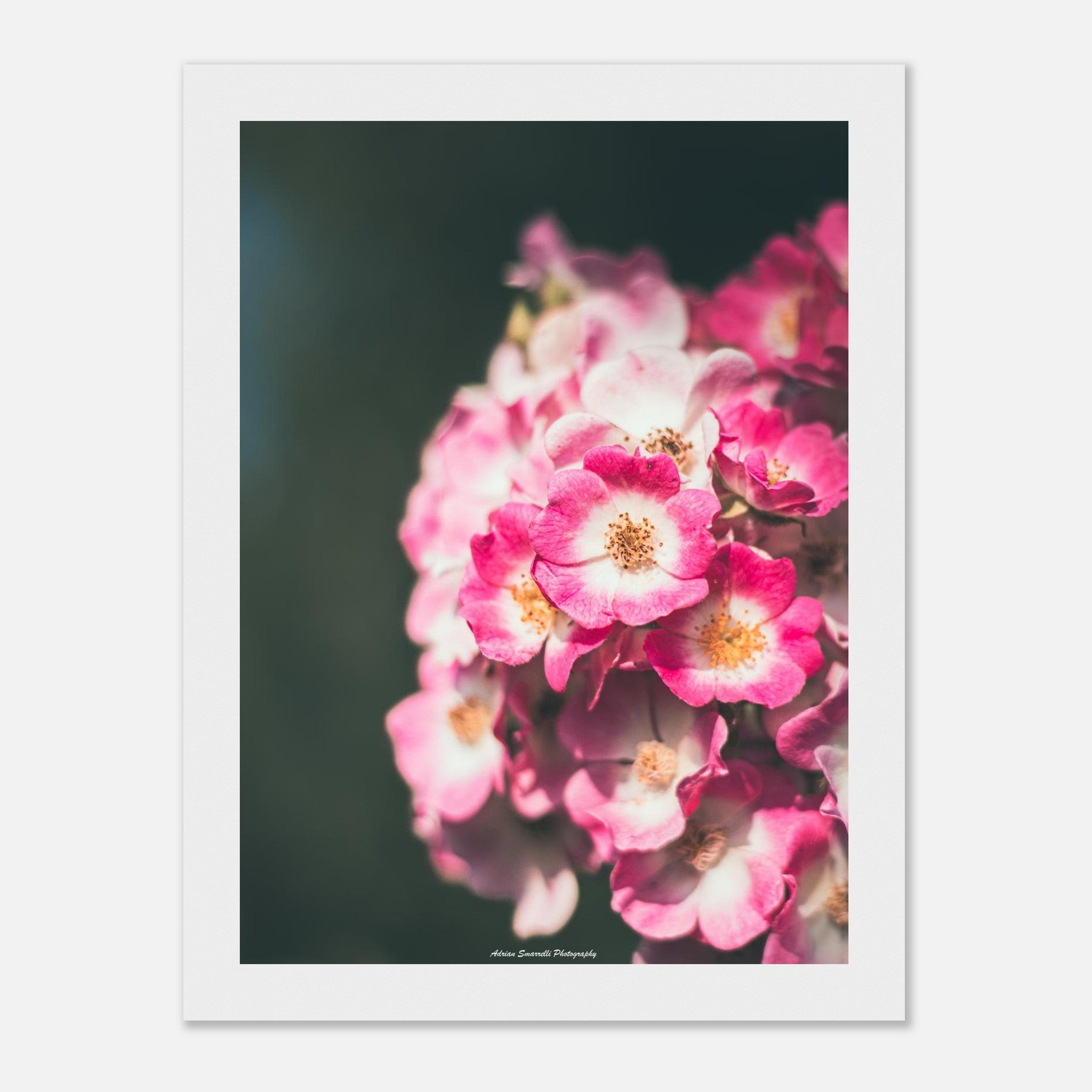 fb077db6-5d89-4b2e-9047-f4ae78090cac