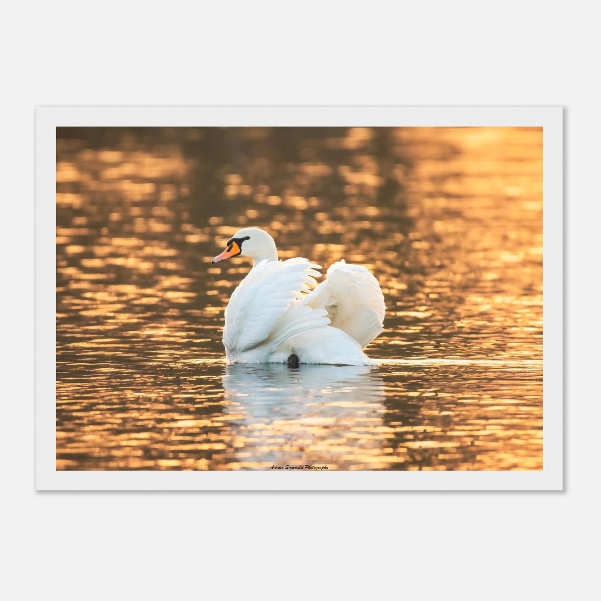 fc78b958-b3ae-42a4-ad6d-f70469fdbcd1