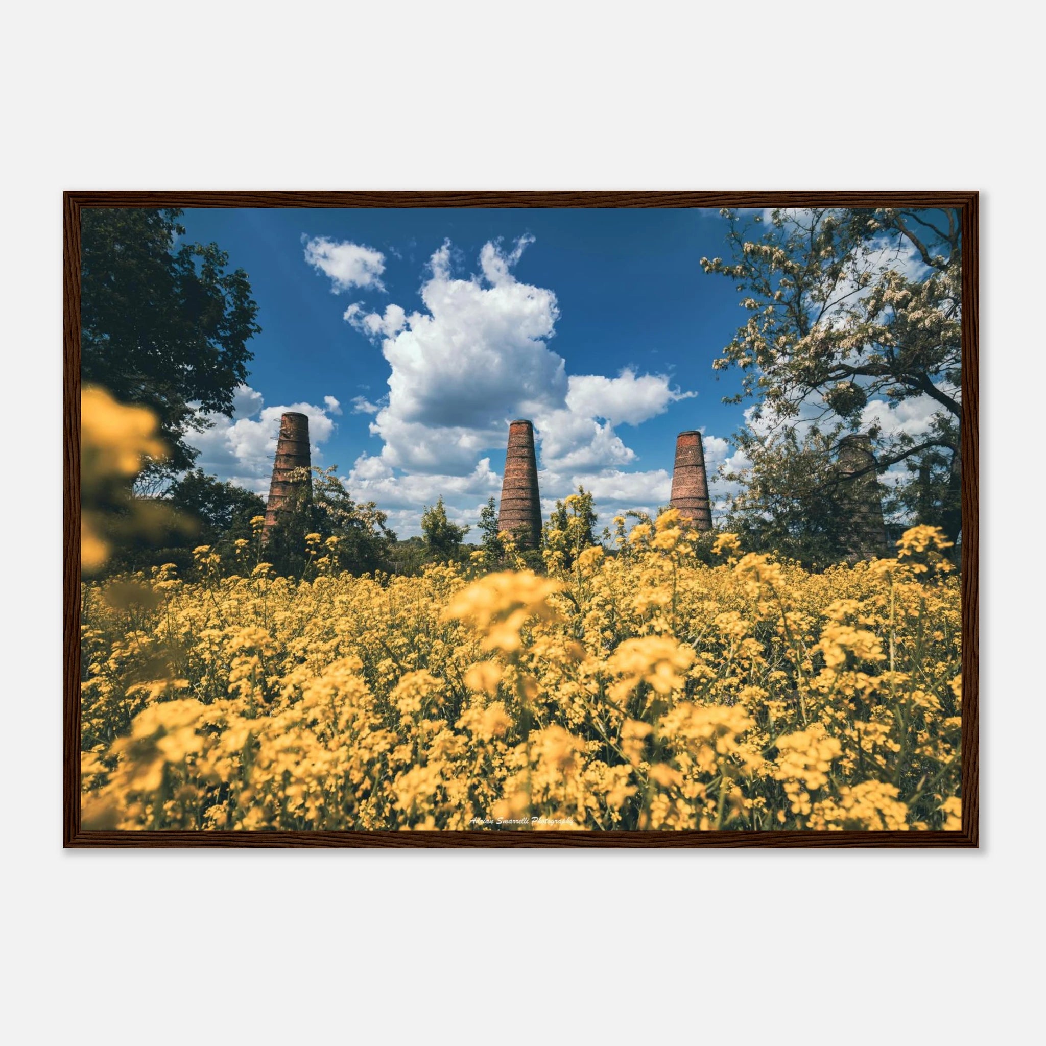 fdc5ccc4-ab2b-4302-b0ef-32358390dc43