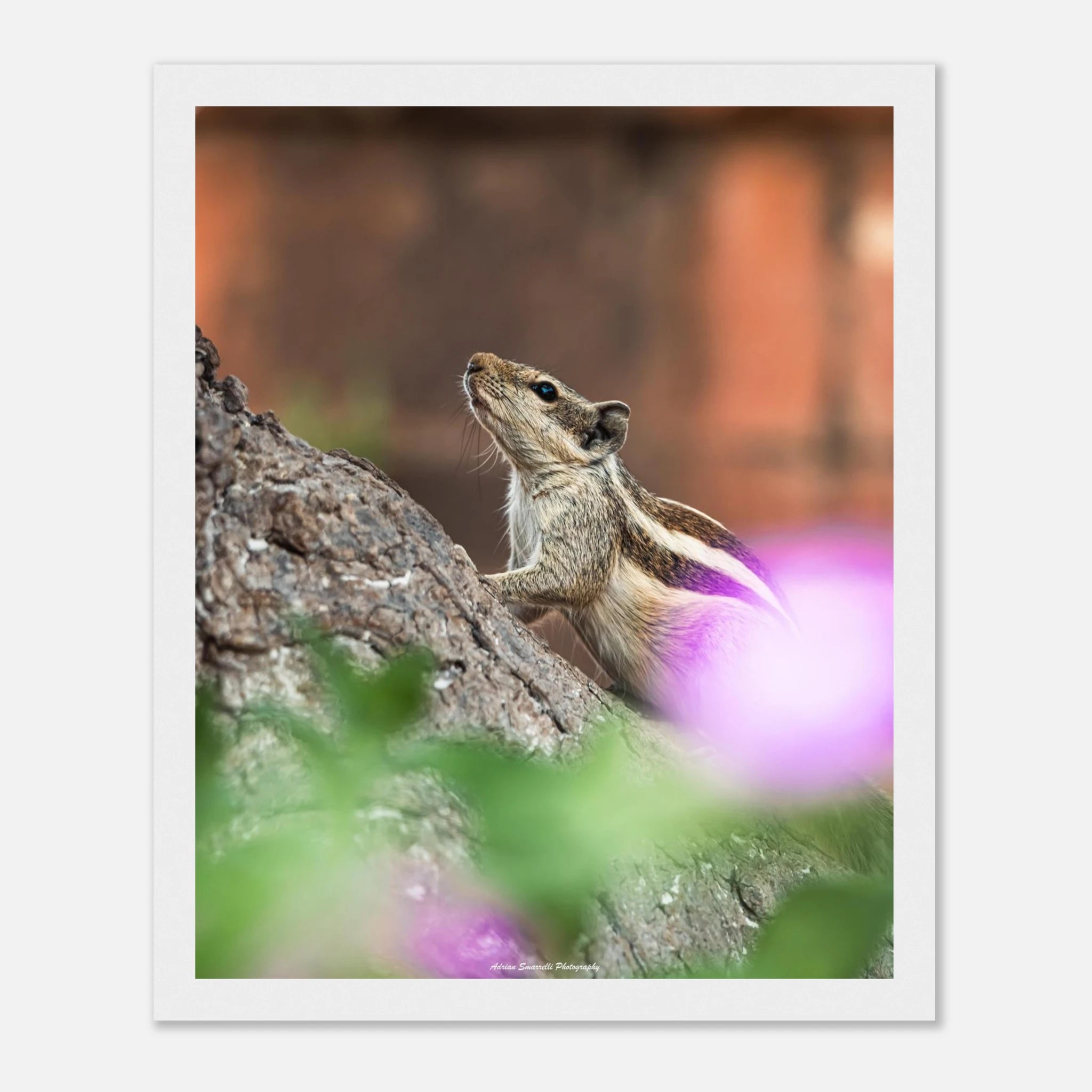 ff07109a-b8e7-405e-afba-dd7add06913e