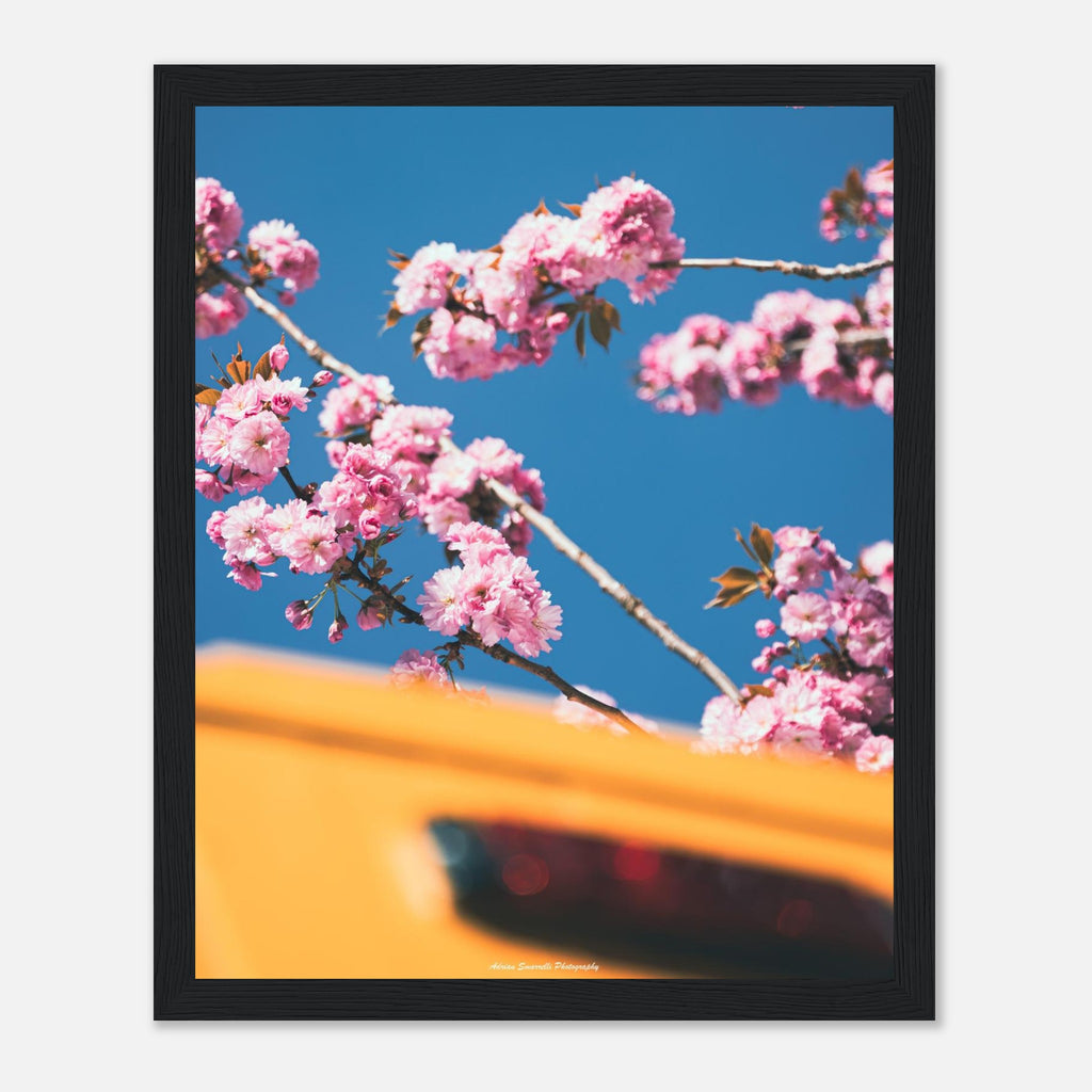 ff5ca8c8-95a2-4018-806b-25a2c0a94d9c