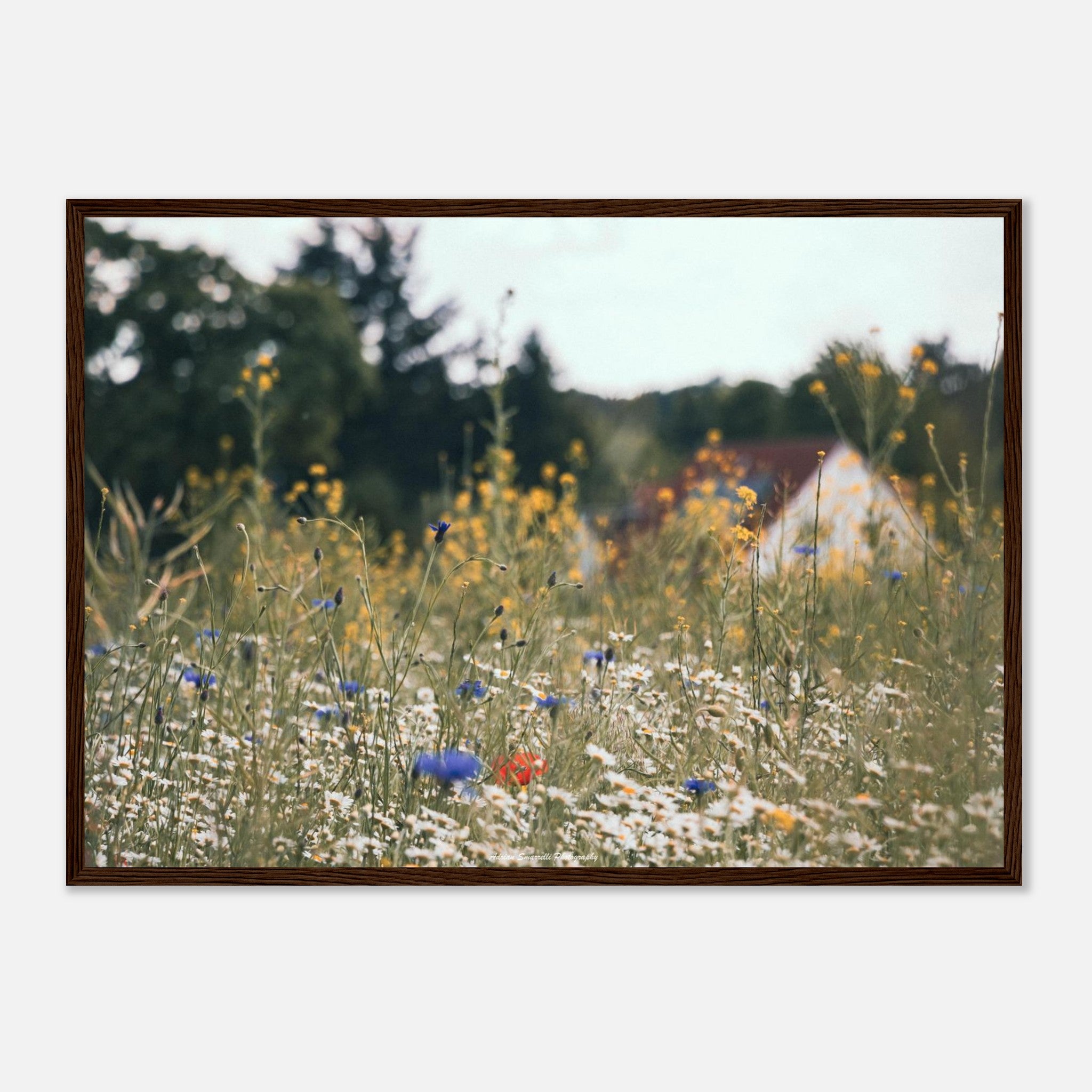 ffb0dc14-59a0-4a34-9aff-1545e3d94c96