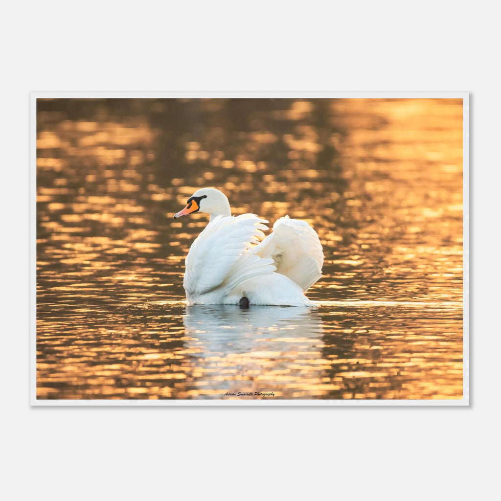 ffcd7015-7d67-4501-84c5-a2877008a641