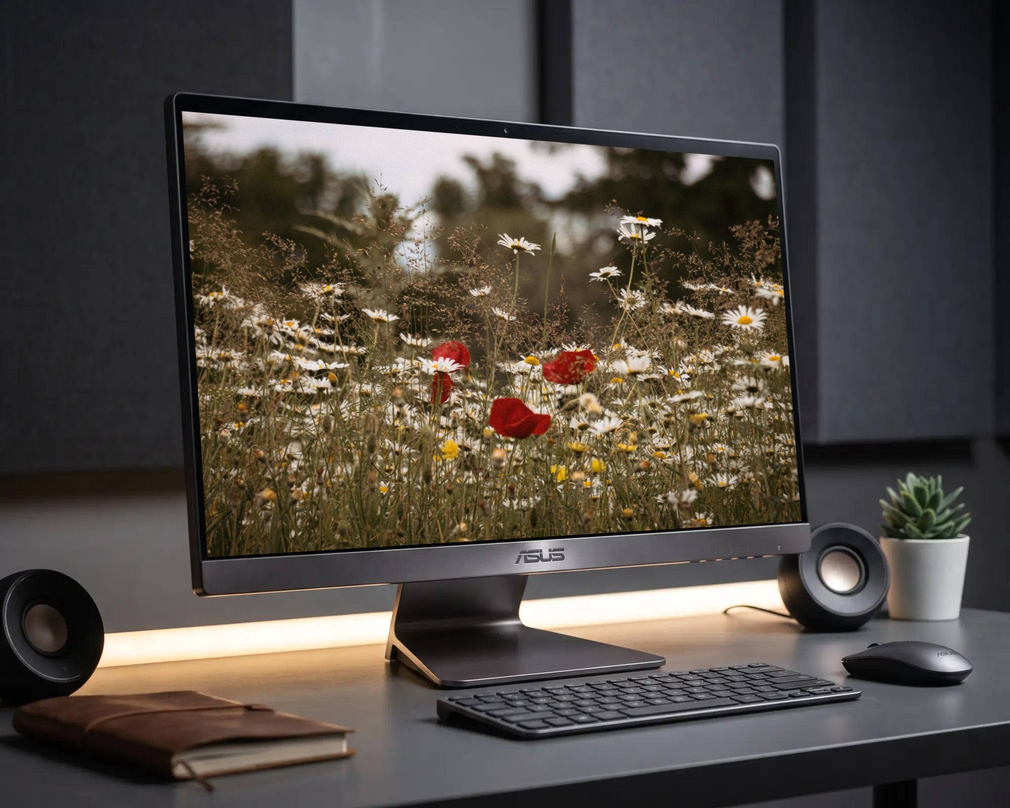 Desktop Wallpaper Pack-V1
